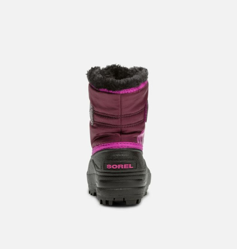 Sorel Toddler Commander™ - Kids Snow Boots Purple/Pink/Black - 094812UPF